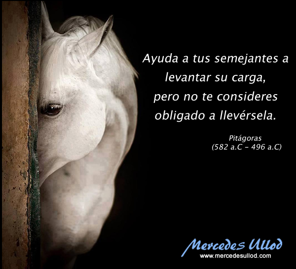 mercedes_ullod_frases